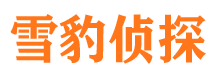 裕民市侦探公司